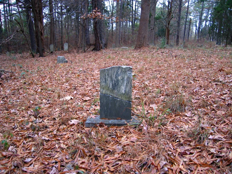 a tombstone on a leaf covered forest floor