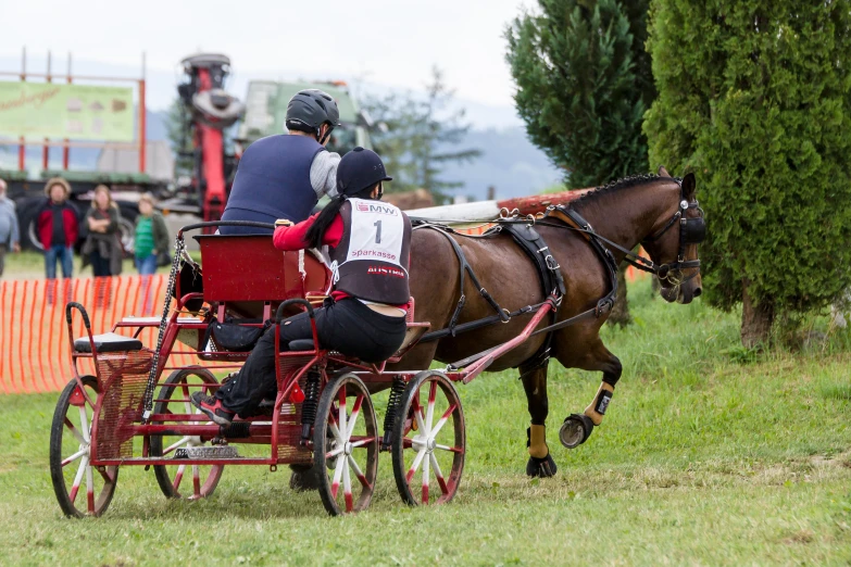 a person rides a horse and carriage as other people look on