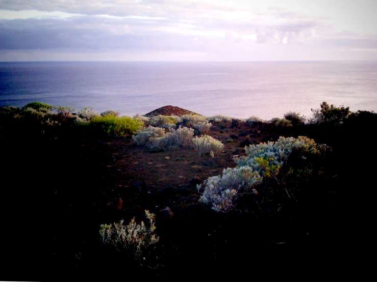 a small hill next to the water in the evening