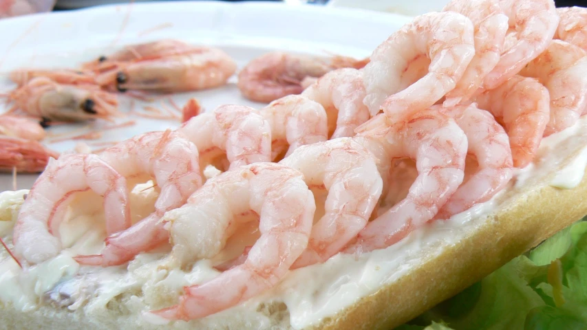 a sandwich sitting on top of a white plate next to shrimp
