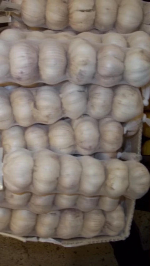 an image of two baskets filled with onion