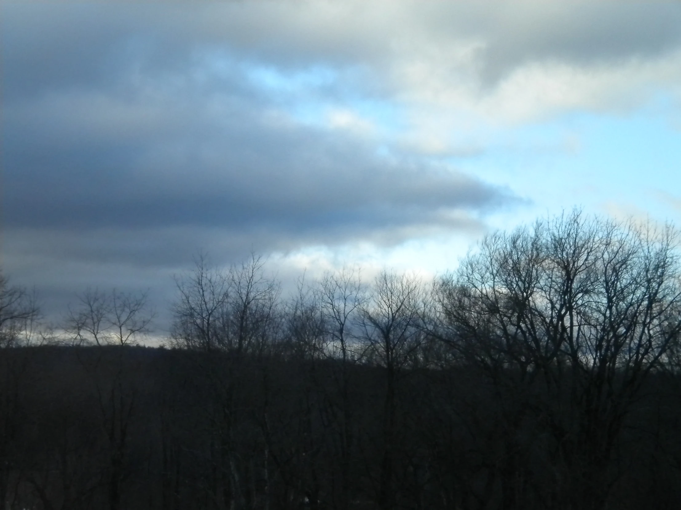 bare trees stand near the tops of mountain tops