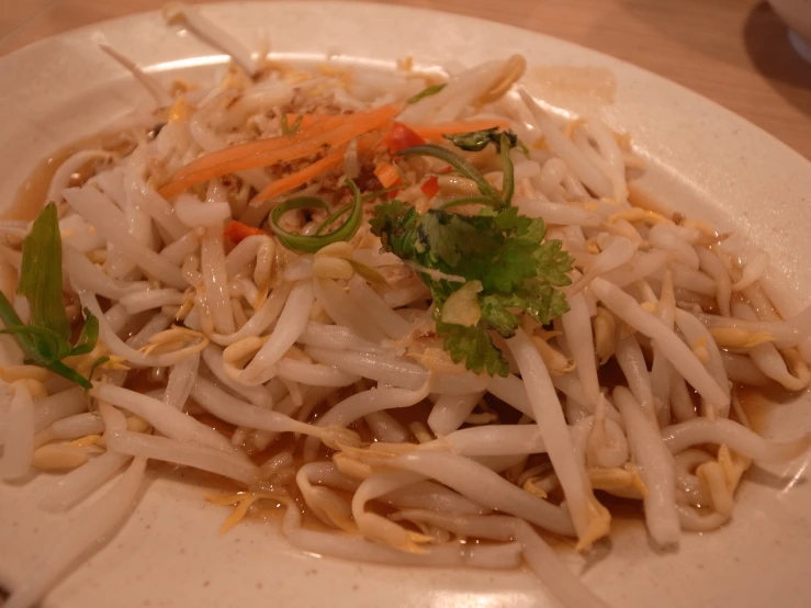 there is some noodle and vegetables on a white plate