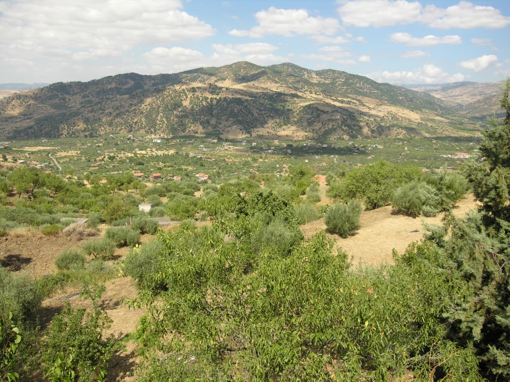 a large hill sitting next to a lush green forest