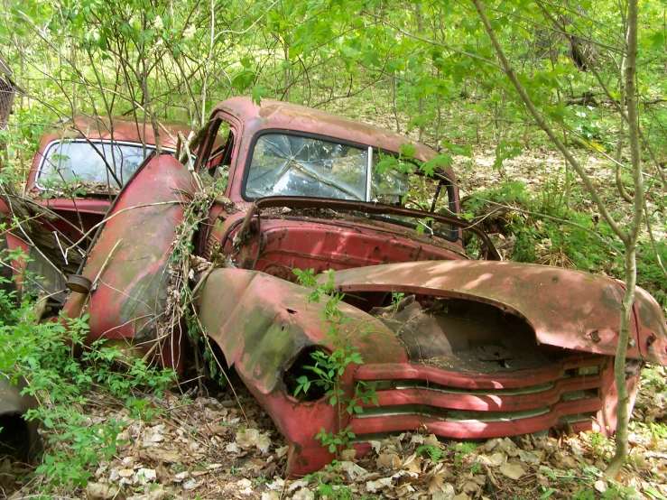 two old cars sit rusted out in the woods