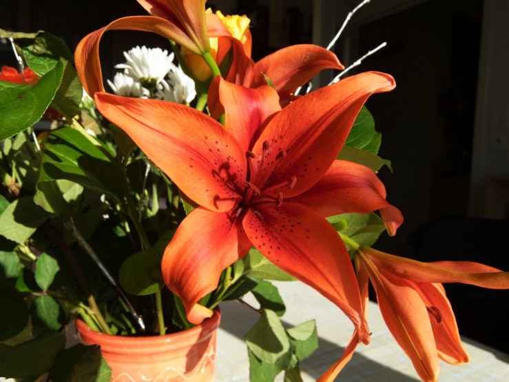 a vase of flowers sits on a table