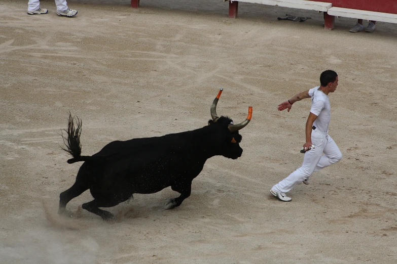 a man chasing a bull through a rodeo