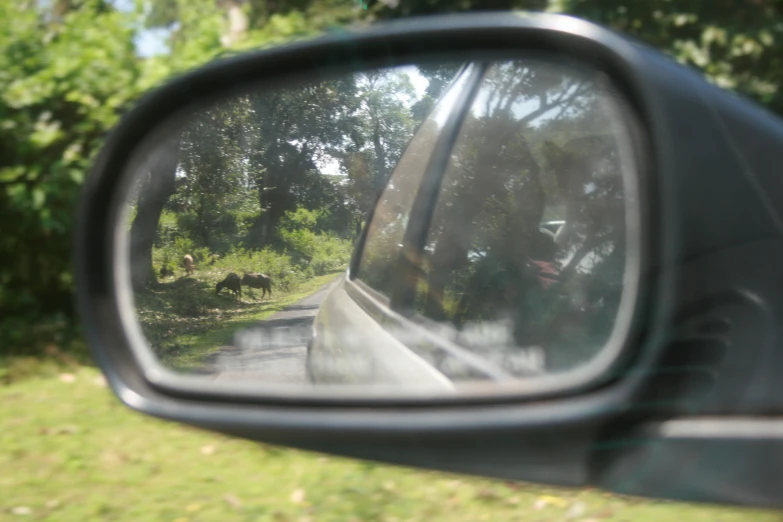 a reflection in the rear view mirror of a car