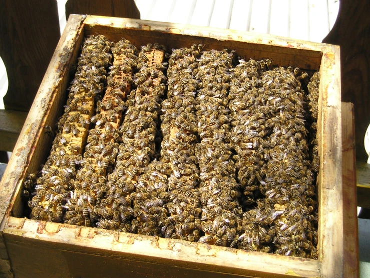 a square box filled with some kind of yellow food