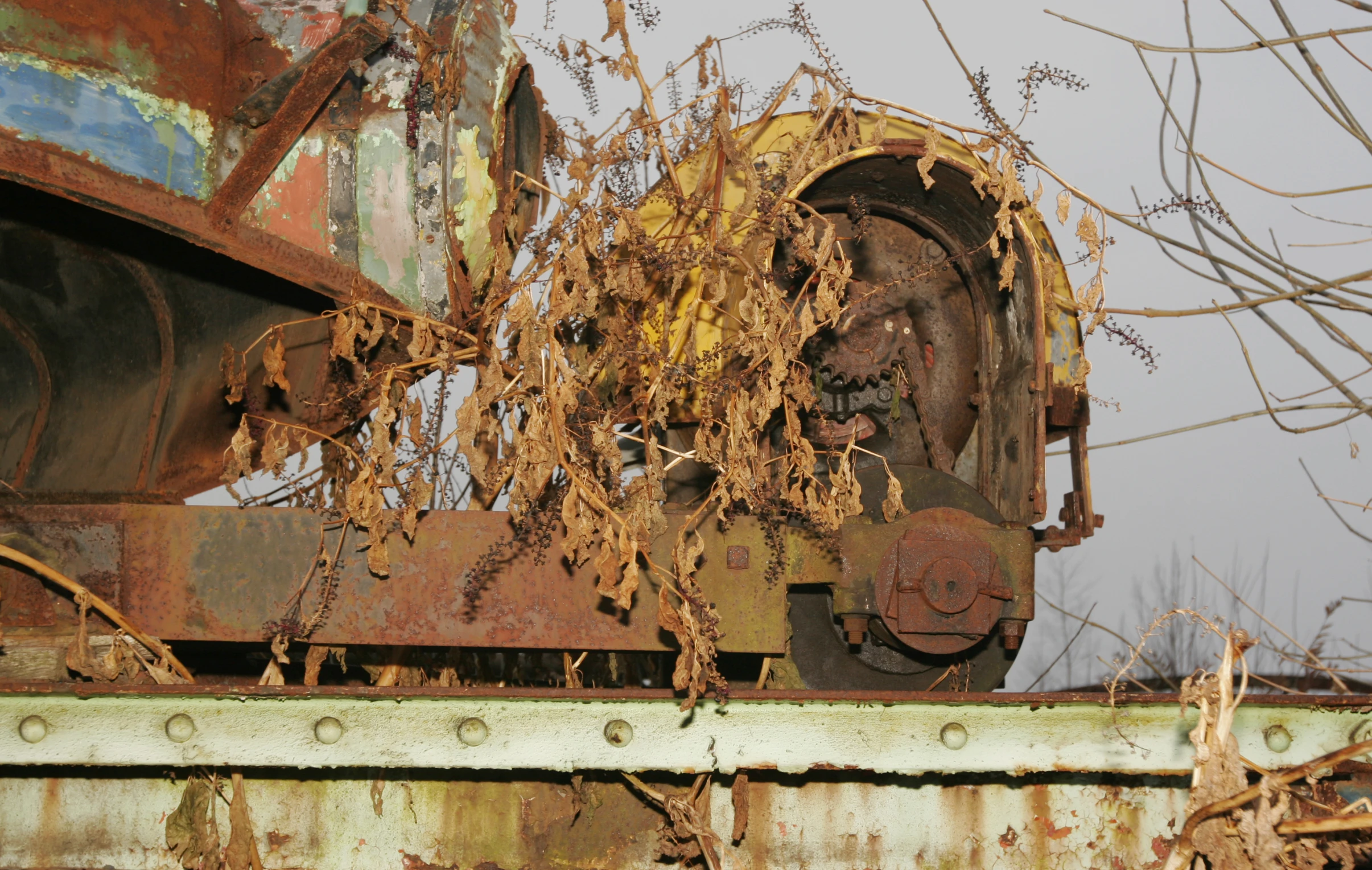 an old abandoned train has been overgrown with leaves