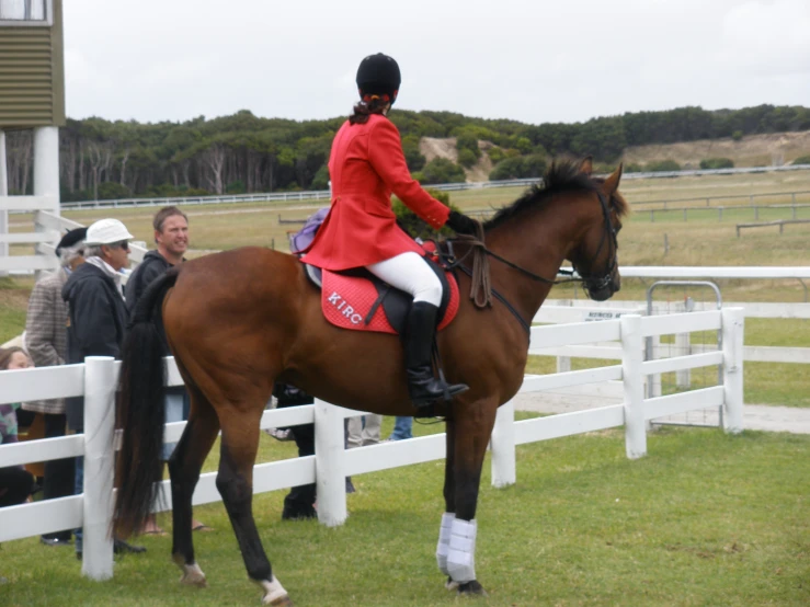 a person is riding on top of a horse near some people