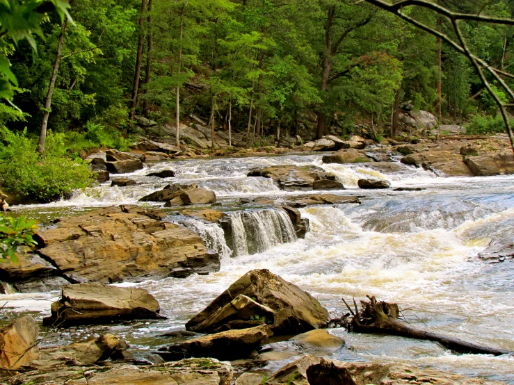 a river with lots of rapids and a few trees