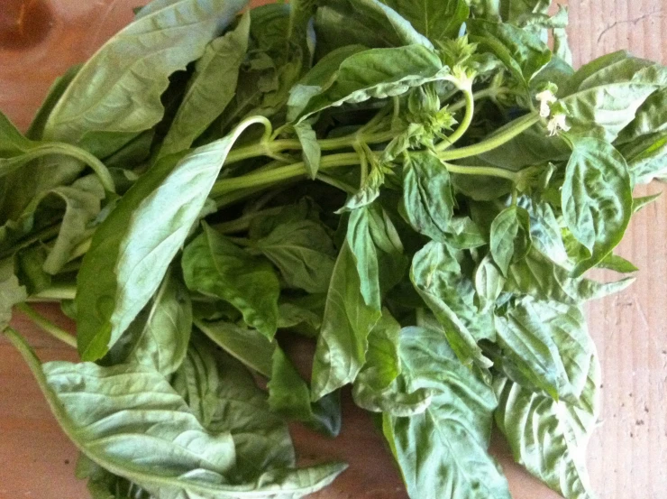 a pile of green basil on a  board