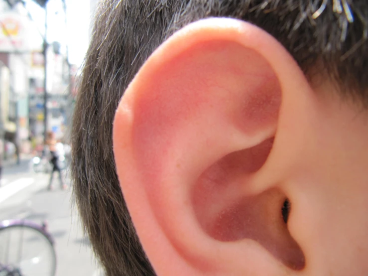 a ear that has been turned slightly is shown