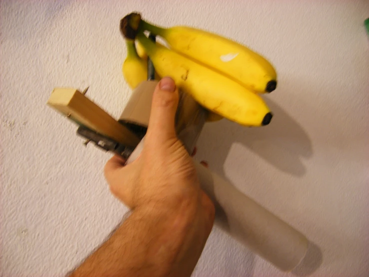 a person holds a bunch of ripe bananas