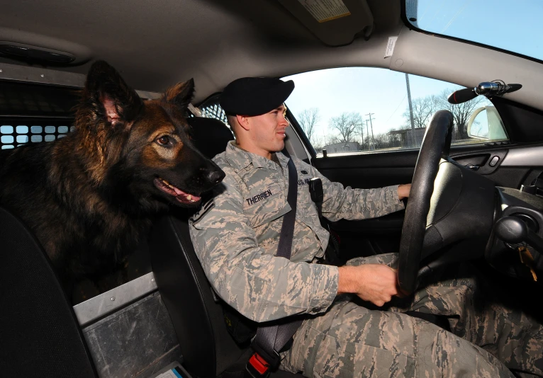 the soldier drives a car with a dog in his seat