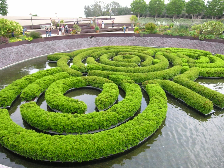 the circular garden has lots of vegetation in it