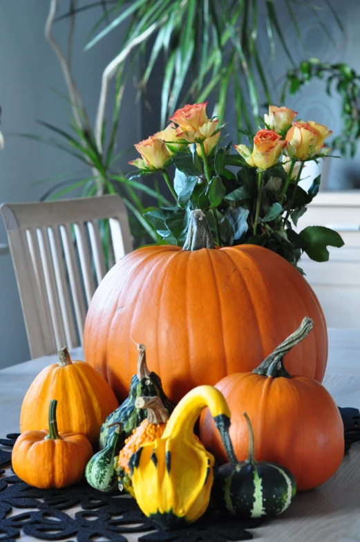 a pumpkin with several different types of plants inside