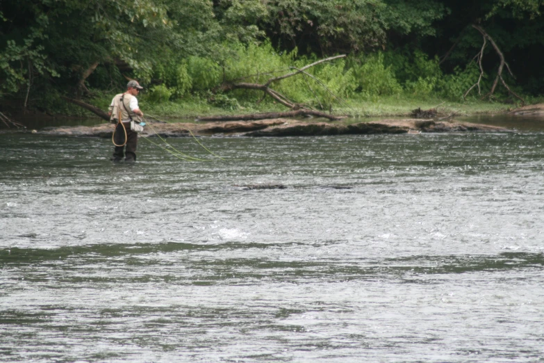 a fisherman fishing on a river near trees