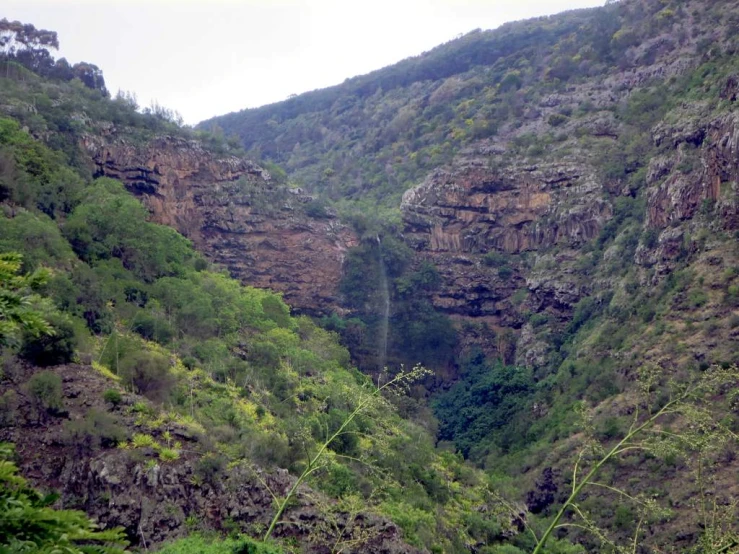 a valley surrounded by tall rocks with trees in the foreground