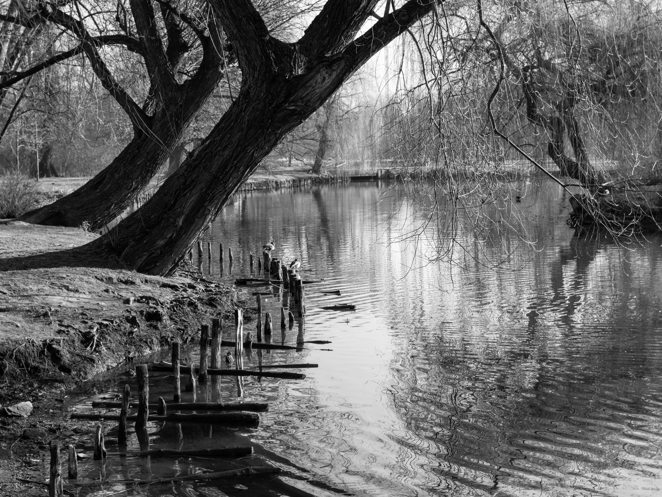 two people are walking along the shore of a lake