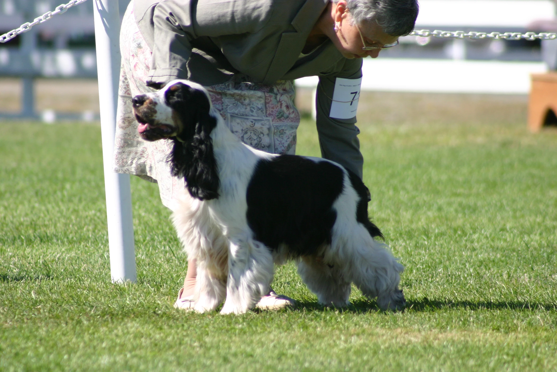a person holding on to a white pole with a black and white dog