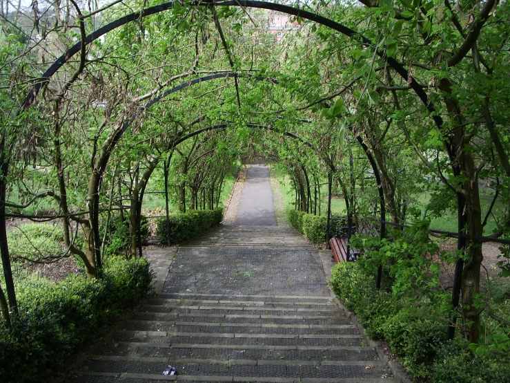 a pathway with steps leading to a picnic area