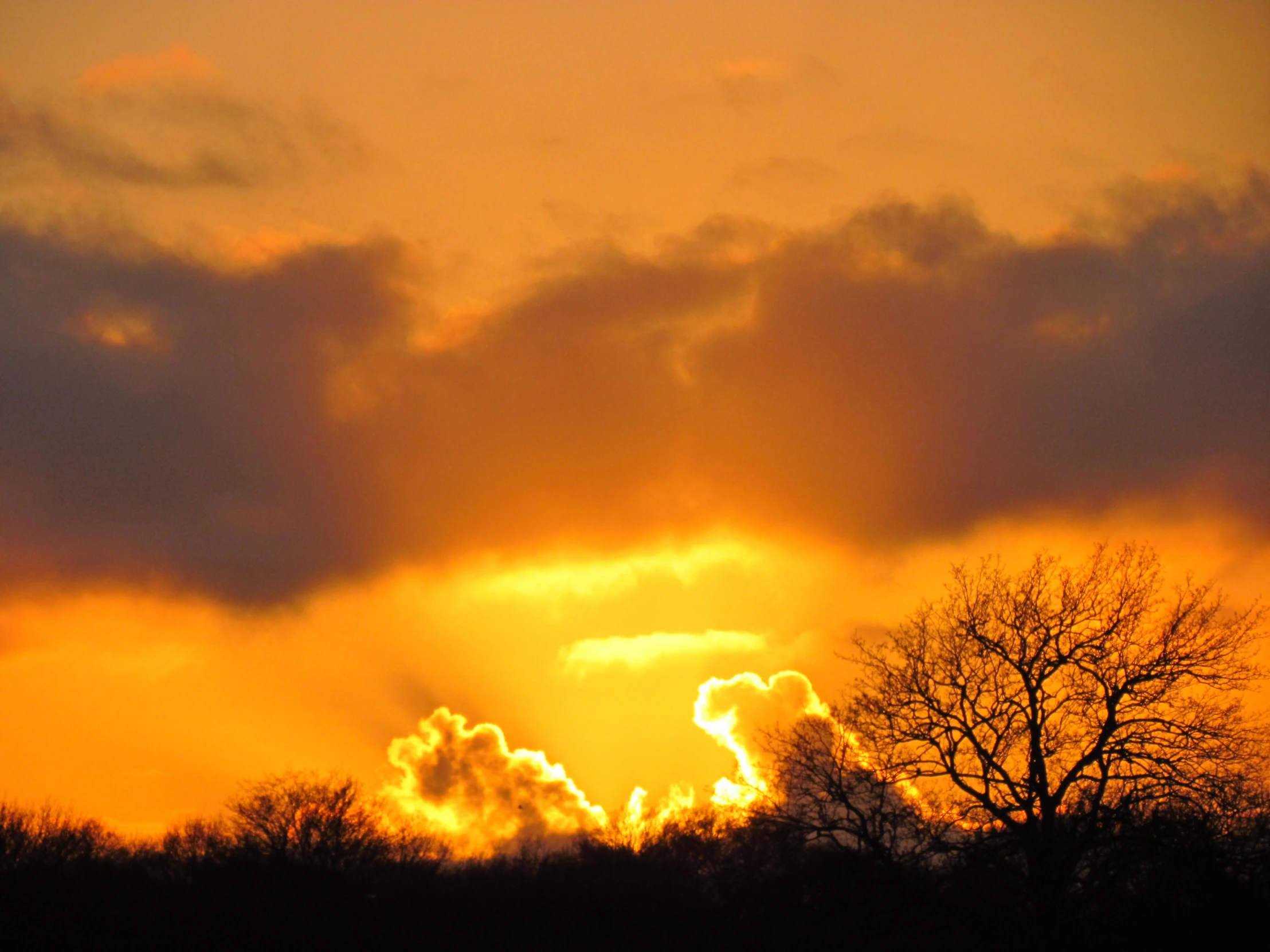 the sun rises through clouds over trees as a horse grazes