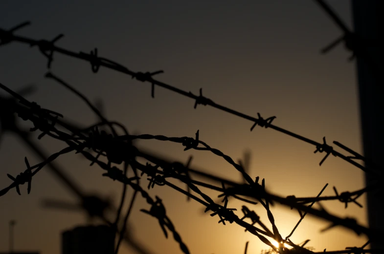 this is an image of a barbed wire