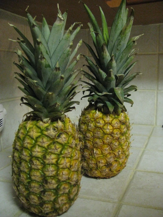 two pineapples sitting side by side in a kitchen