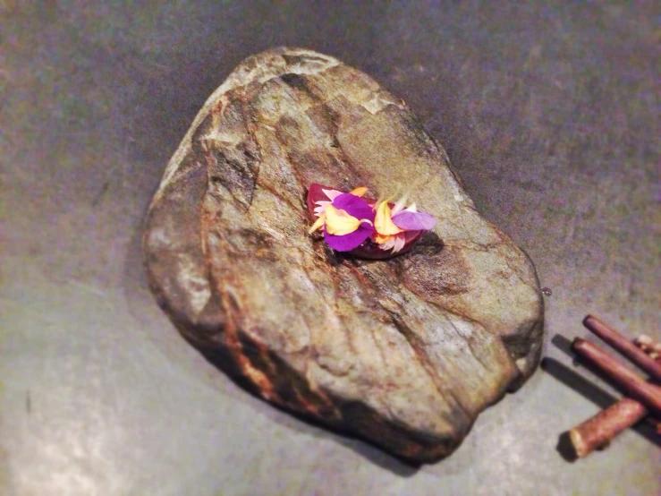 a small purple flower sits on a rock next to matches