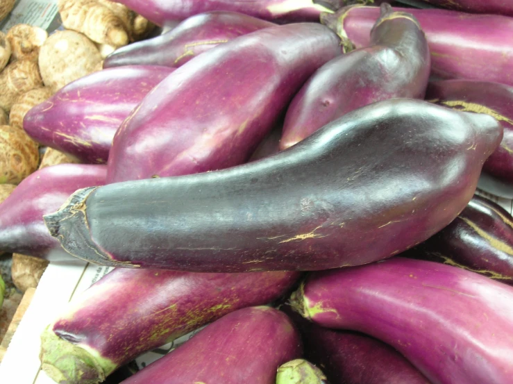 an eggplant at the produce department in australia