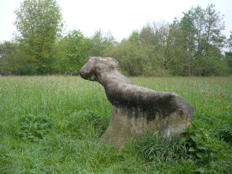 the head of a statue of an animal that is sitting in the grass