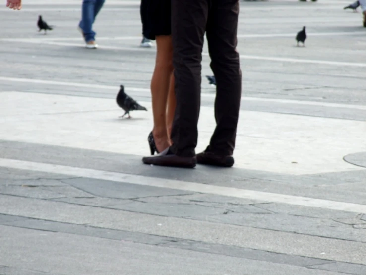 a couple walking on pavement with birds nearby