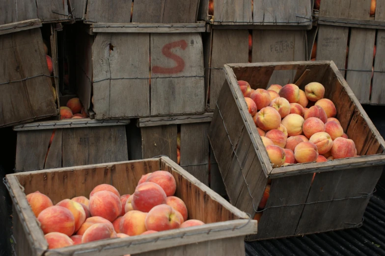 crates of peaches sit with the letter s in them