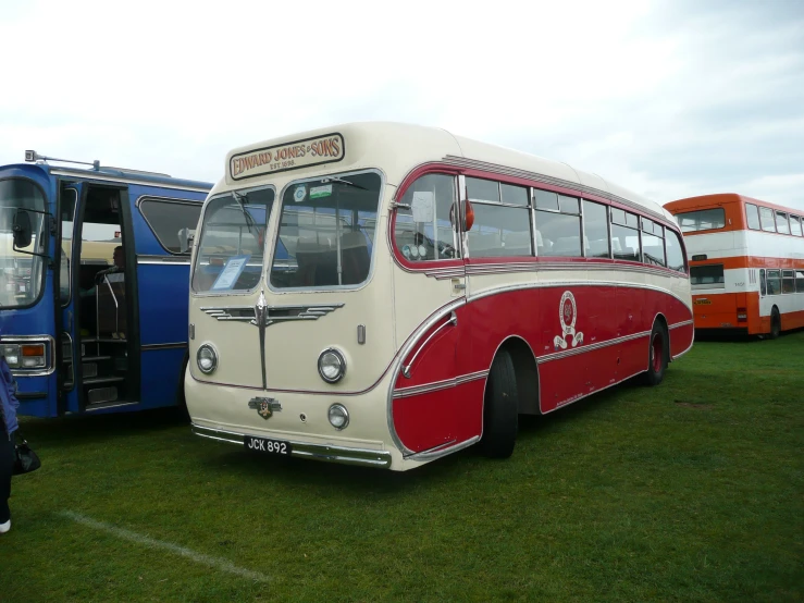 vintage buses sit parked on the grass in an open field