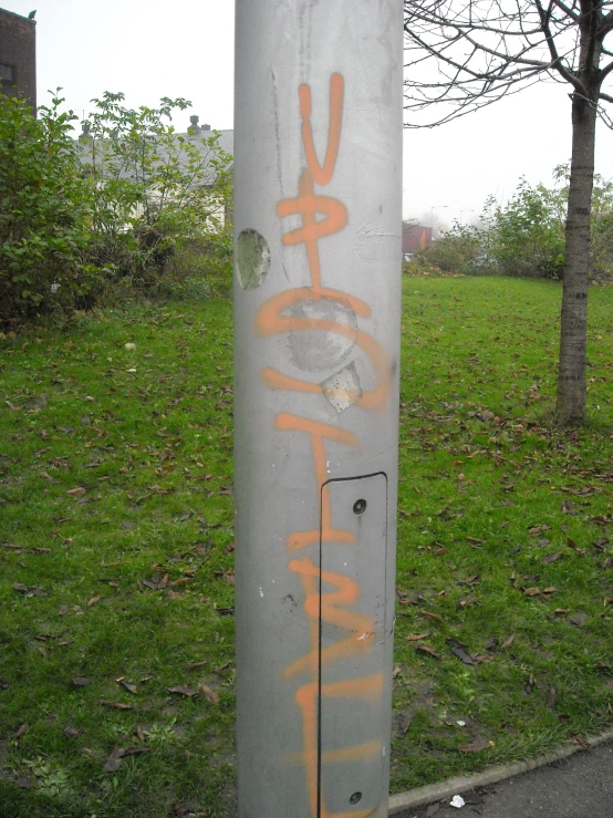 graffiti on a pole, with a tree in the background