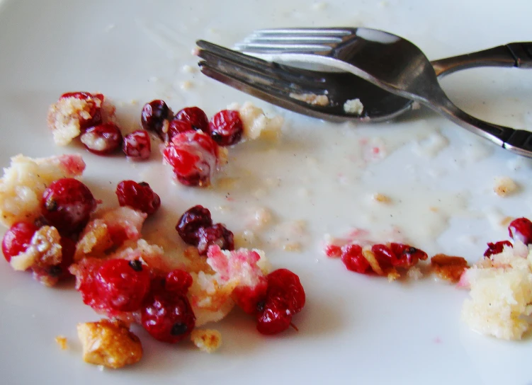 a fork on a plate with cranberries