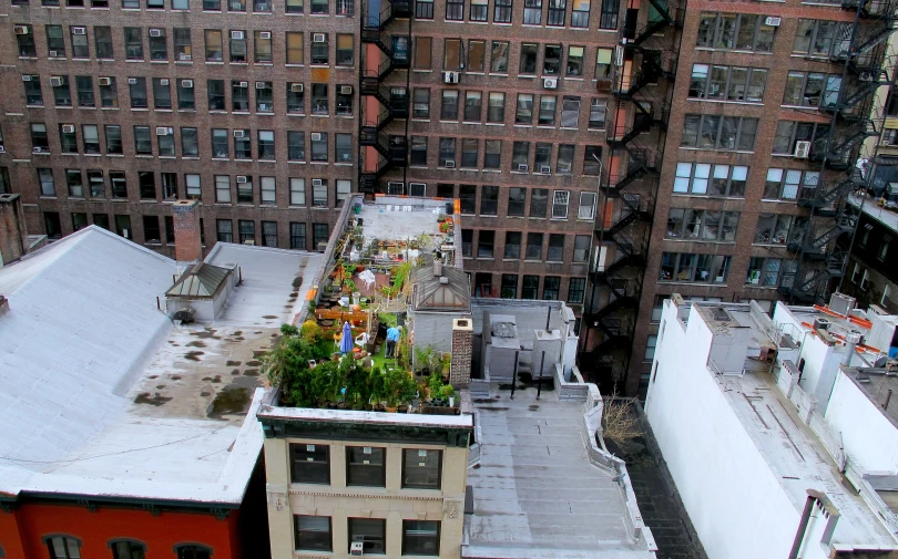 there is an image of rooftop garden in new york city