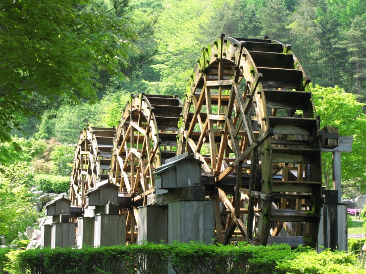 wooden structures are seen in a park setting