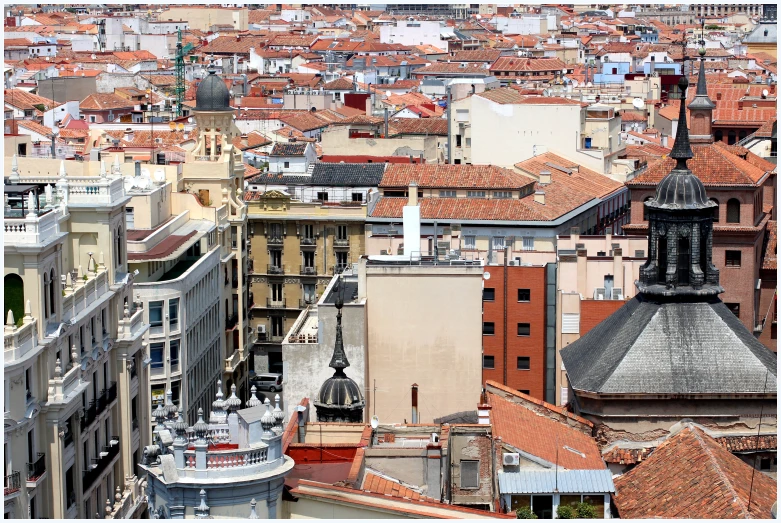 a city skyline with many buildings and brown roof tiles