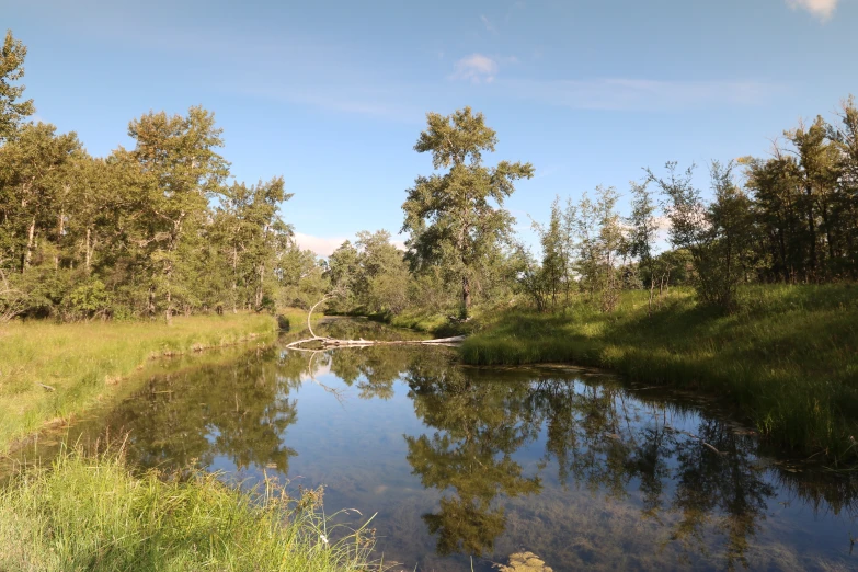 a body of water with green trees near by