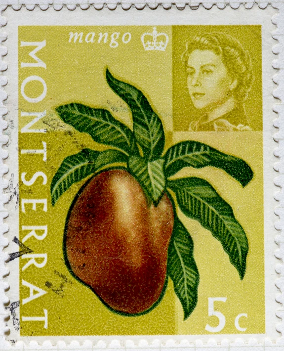 a stamp with a peach on it with the name mango tree