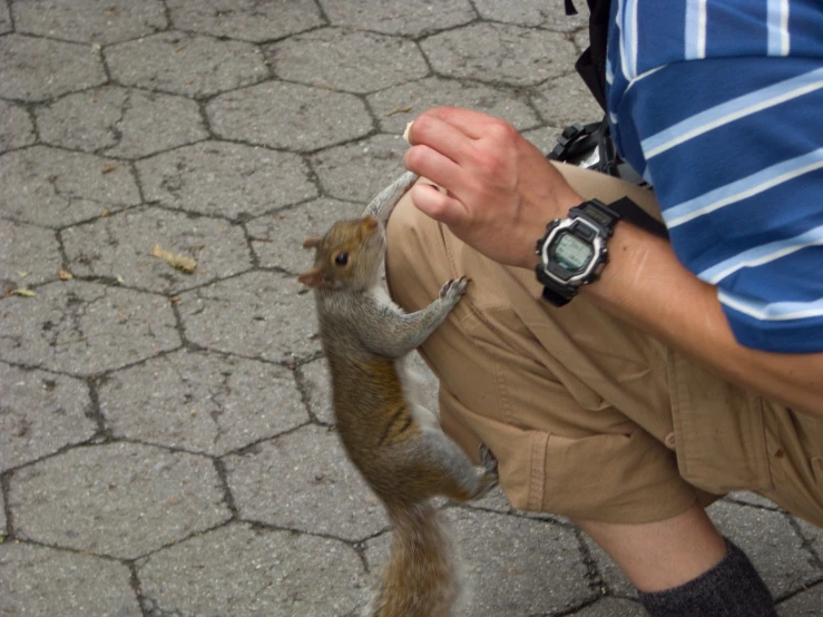a close up of a person holding a squirrel near his foot