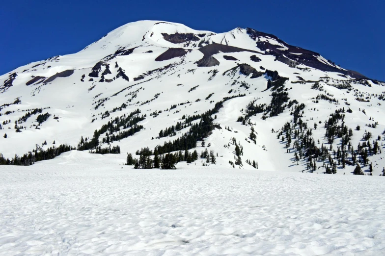 a snowy mountain peak with fir trees on the snow