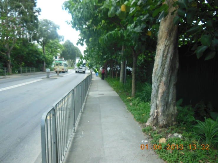 two people are standing near a fence near trees