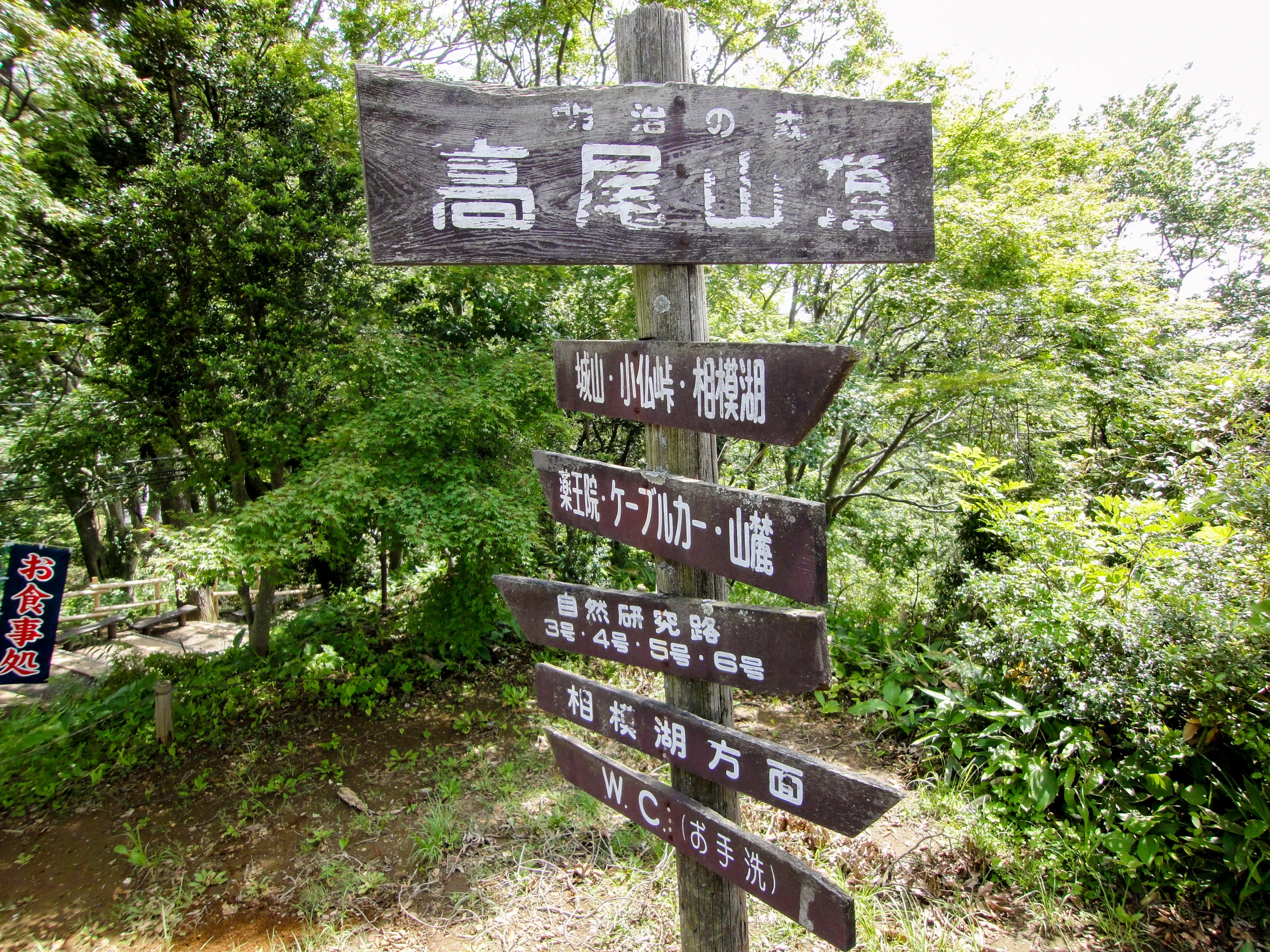 an asian direction sign in the middle of a wooded area