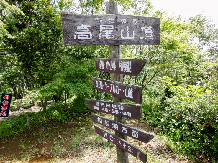 an asian direction sign in the middle of a wooded area