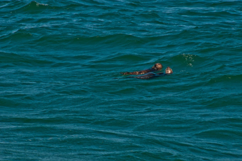 man laying on top of his surfboard in the water