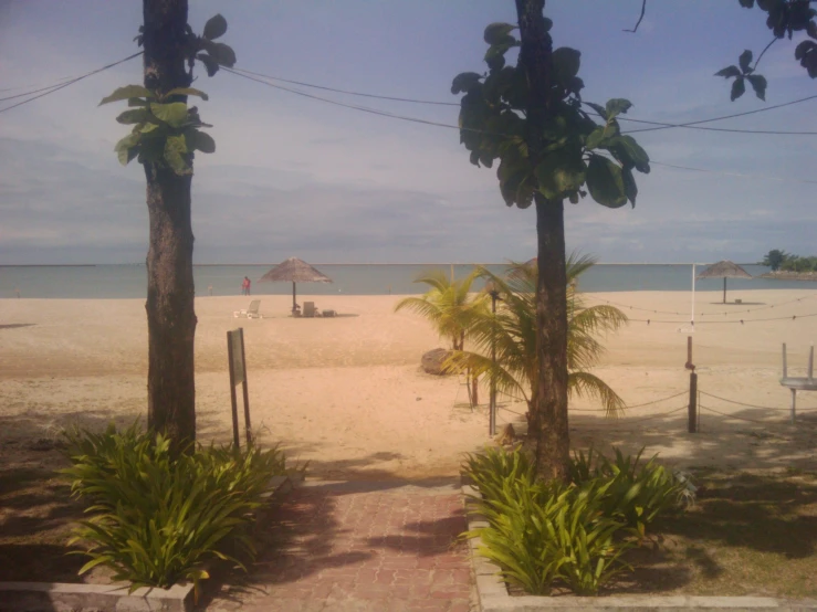 a path going to the ocean leads to an umbrella - roofed beach